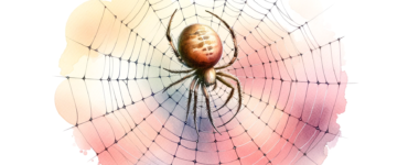 watercolor sublimation clipart of a spider weaving its web