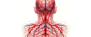 The watercolor subliminal clipart of a human diagram showing all the red nerves connecting to the brain.